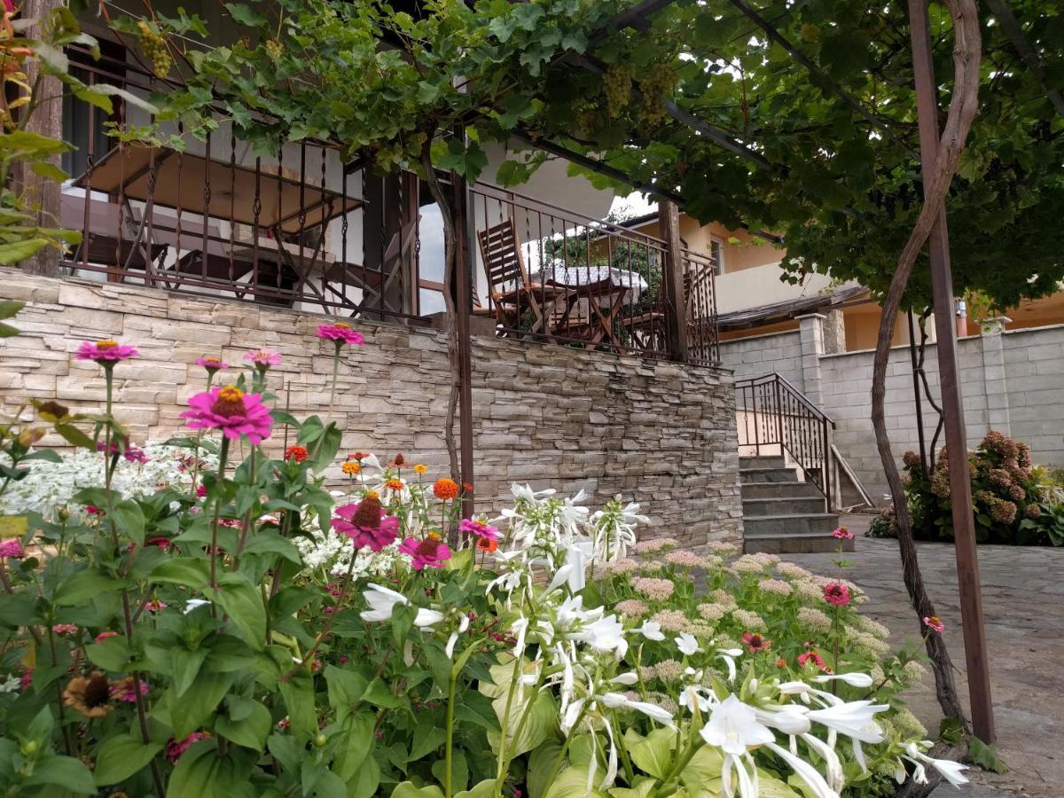 Villa Visoka Balcsik Kültér fotó