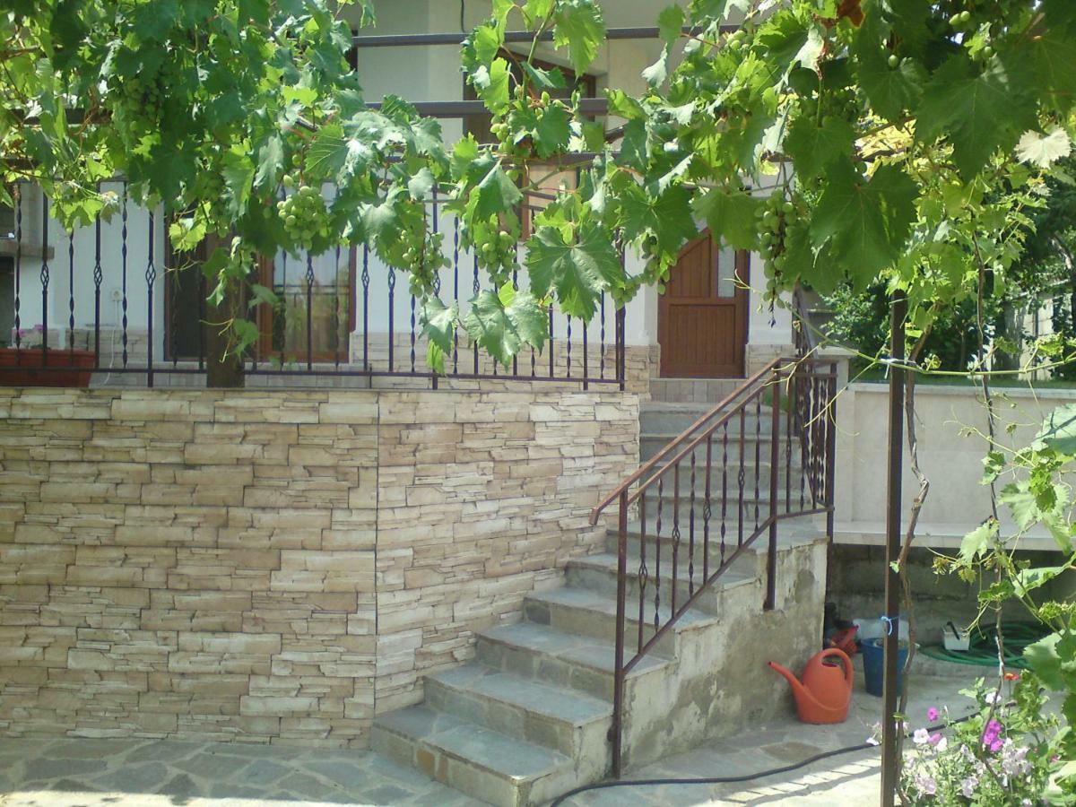 Villa Visoka Balcsik Kültér fotó