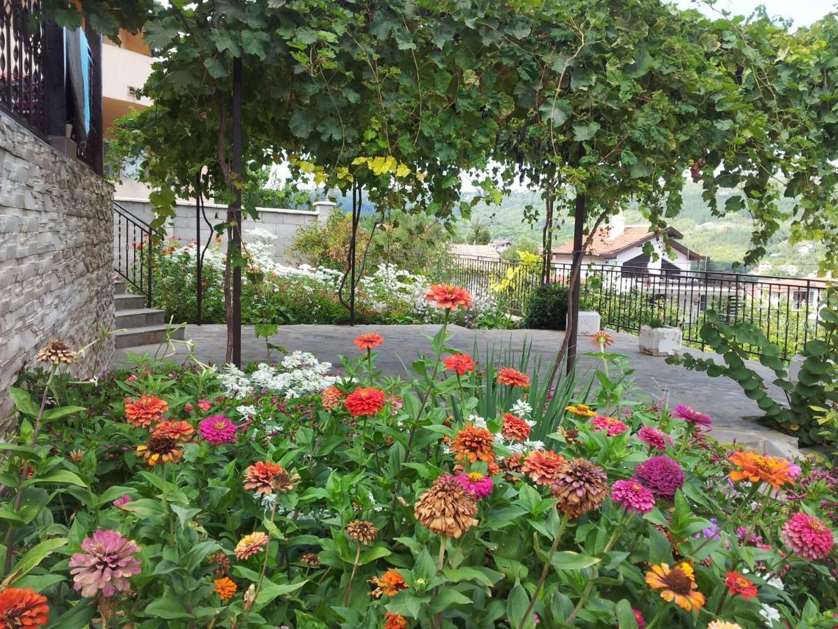 Villa Visoka Balcsik Kültér fotó